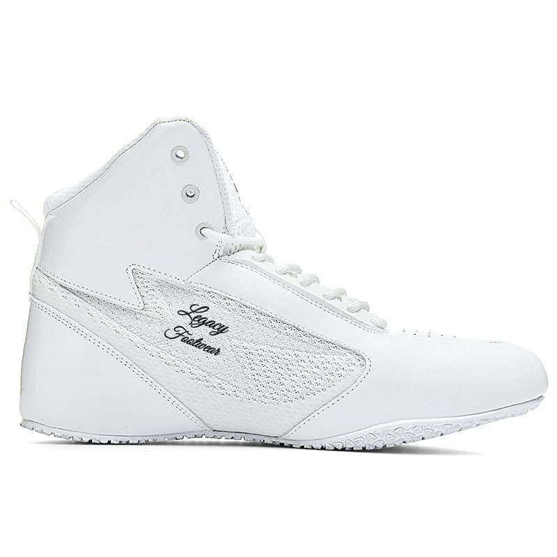 Arctic White